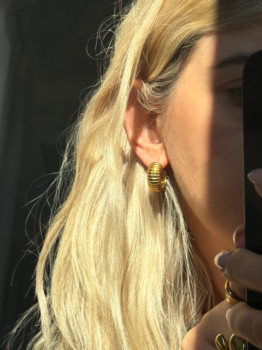 EARRIBGS