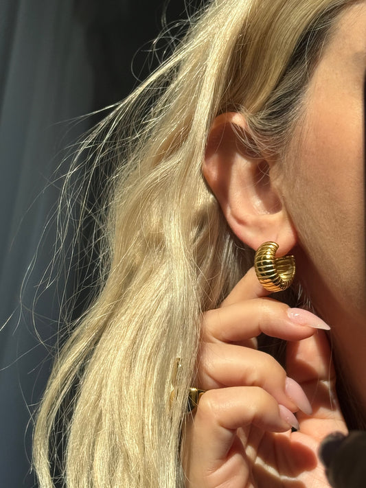 EARRIBGS